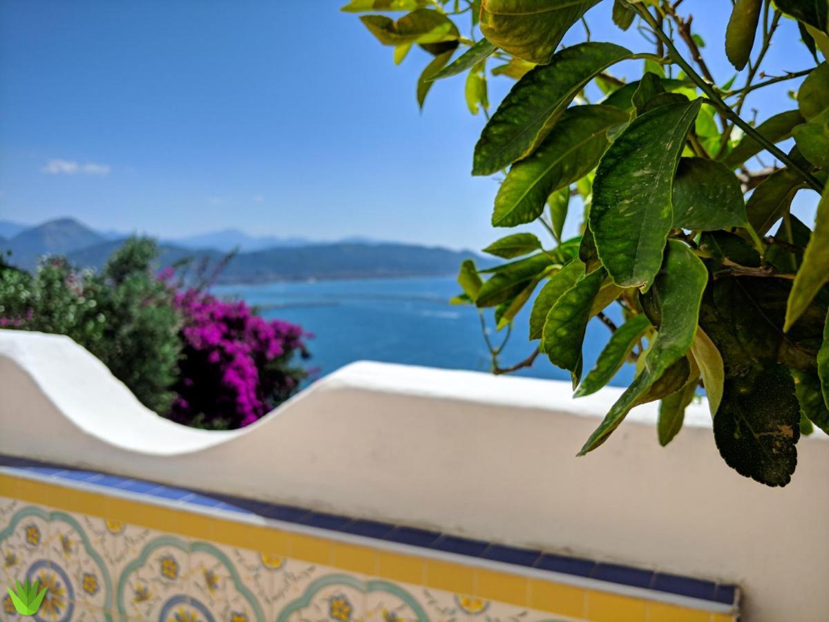 Delle Agavi Appartement Vietri