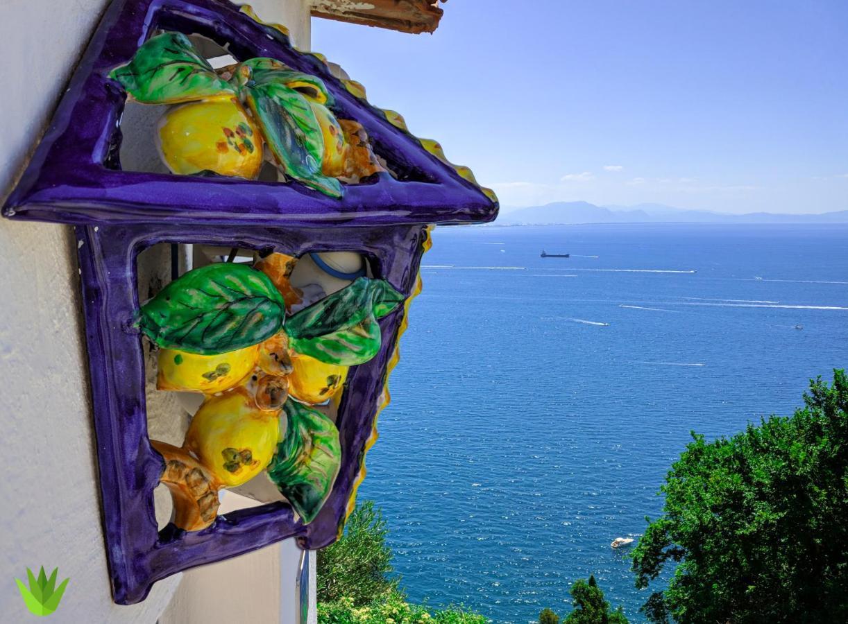 Delle Agavi Vietri