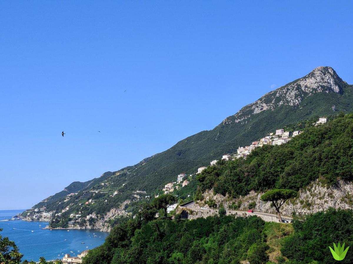 Delle Agavi Vietri