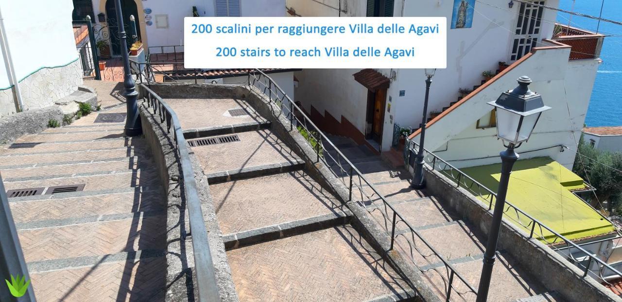 Delle Agavi Appartement