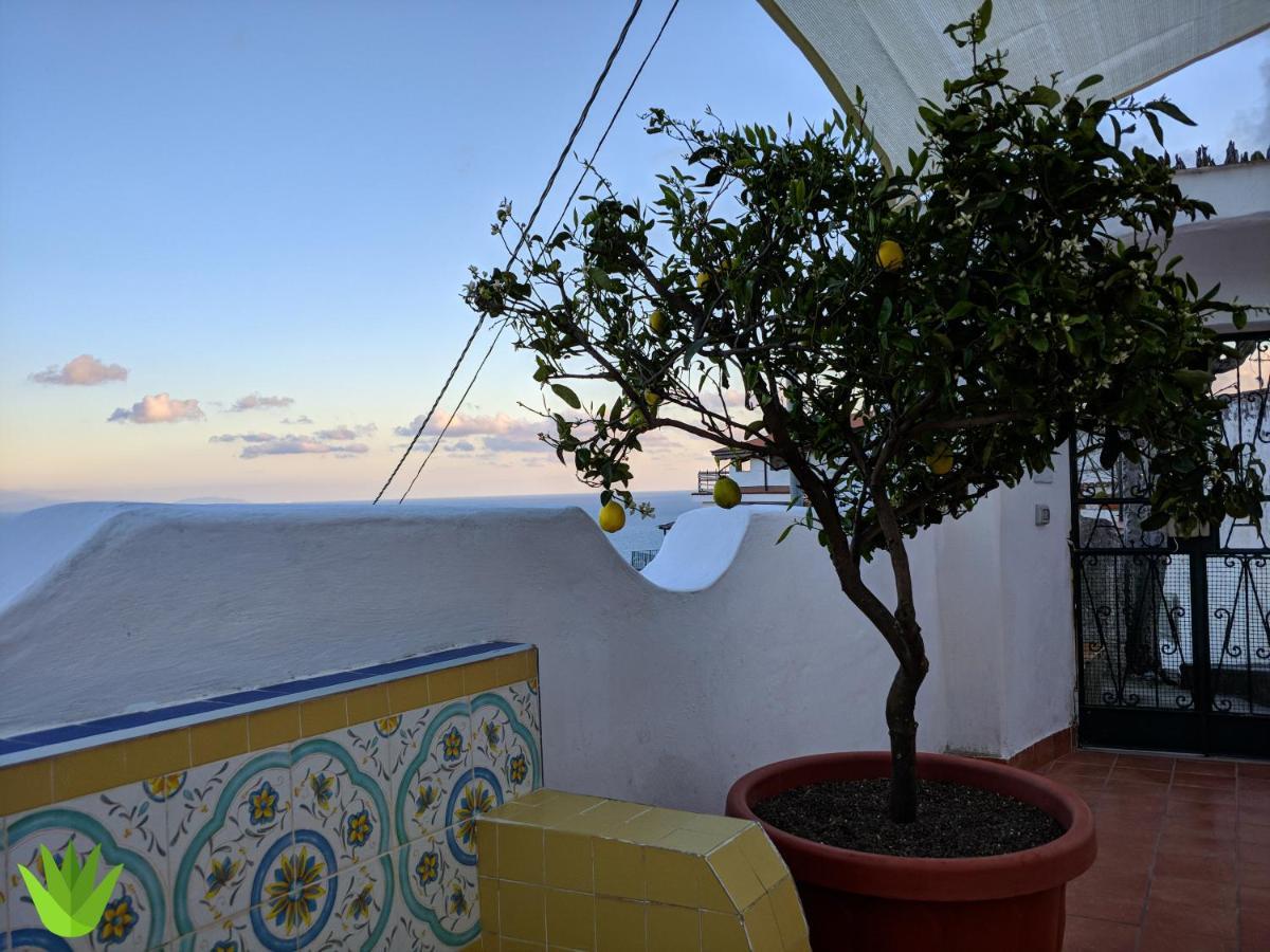 Delle Agavi Appartement *